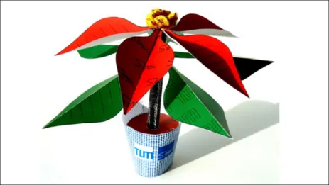 2009 Weihnachtsstern