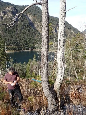Tree sampling debris flow